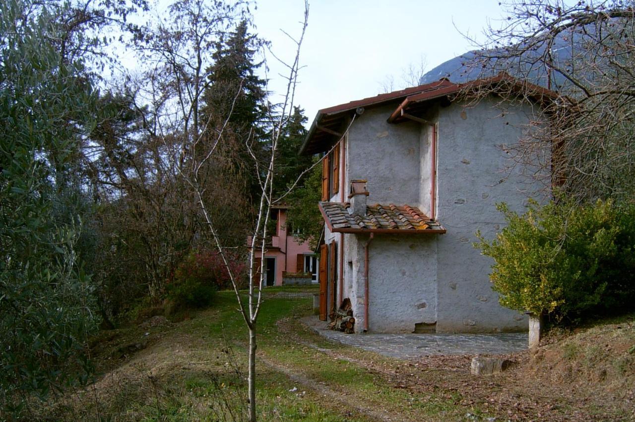 Casa Oliveto Villa Камайоре Екстериор снимка